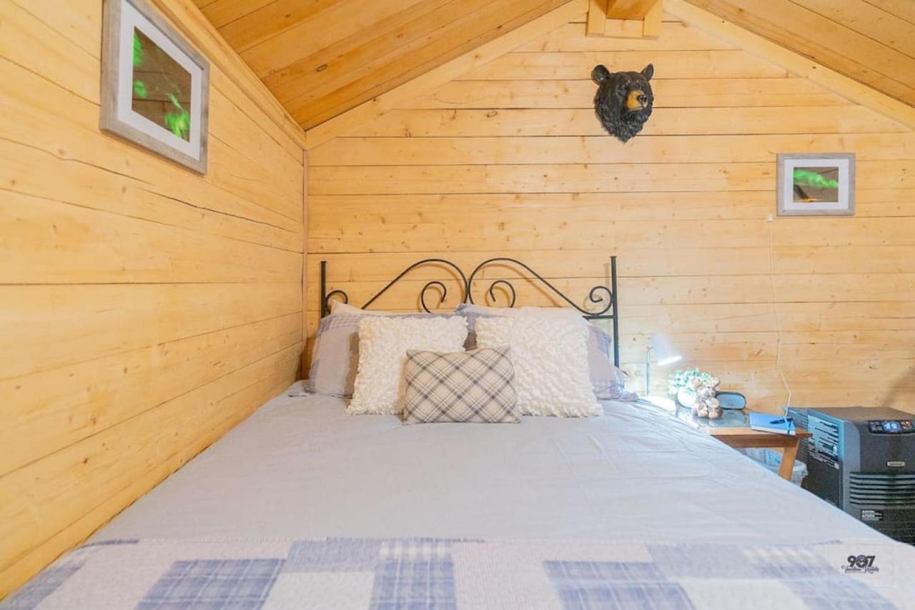 Studio Log Dry Cabin| Aurora Views! Fairbanks Kültér fotó