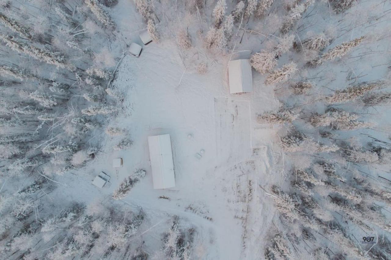 Studio Log Dry Cabin| Aurora Views! Fairbanks Kültér fotó