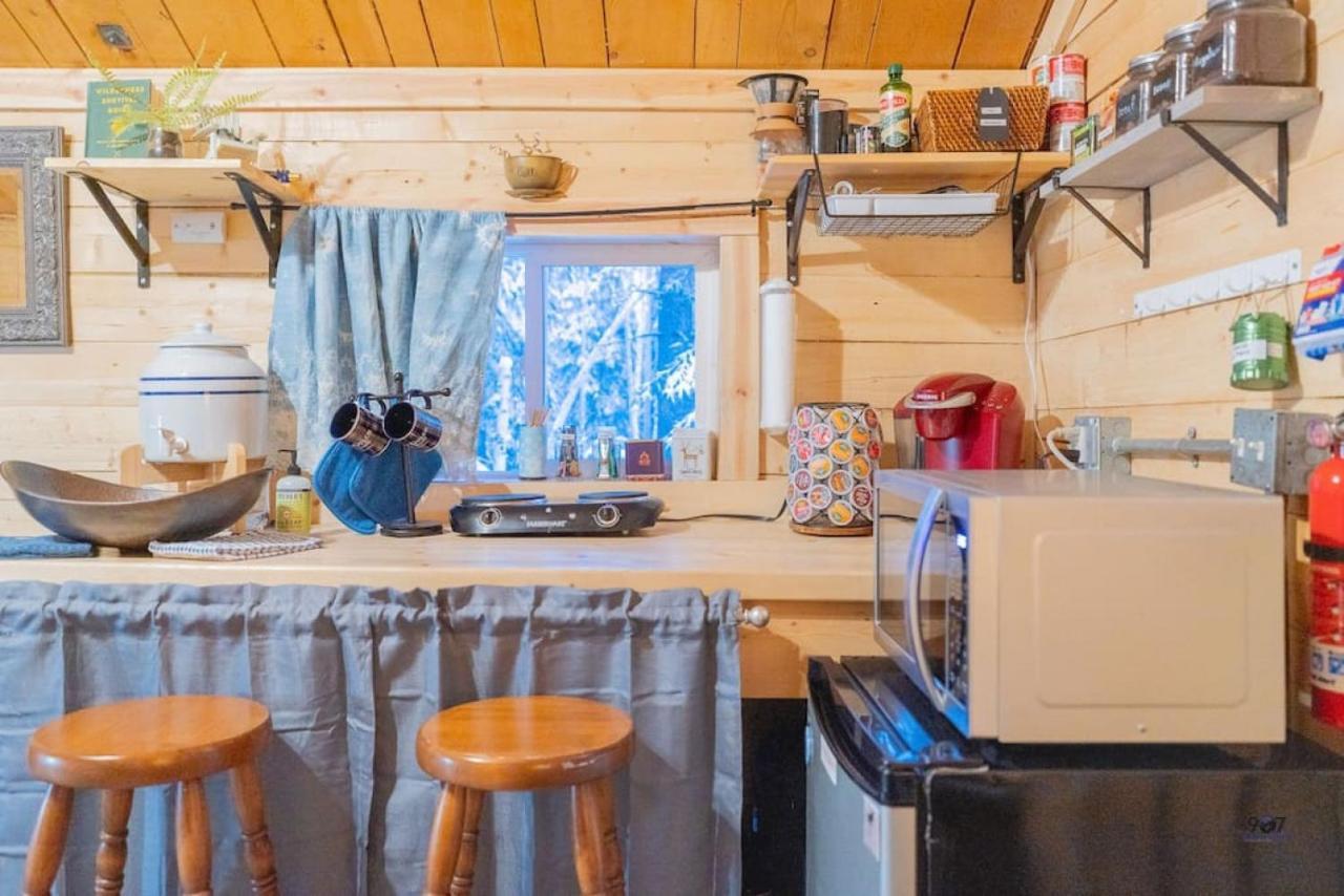 Studio Log Dry Cabin| Aurora Views! Fairbanks Kültér fotó