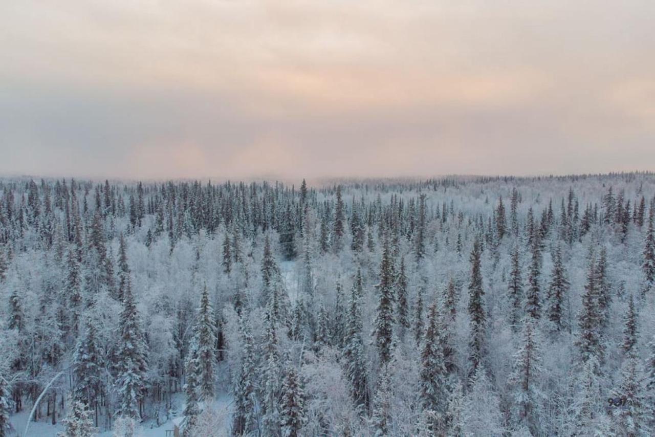 Studio Log Dry Cabin| Aurora Views! Fairbanks Kültér fotó