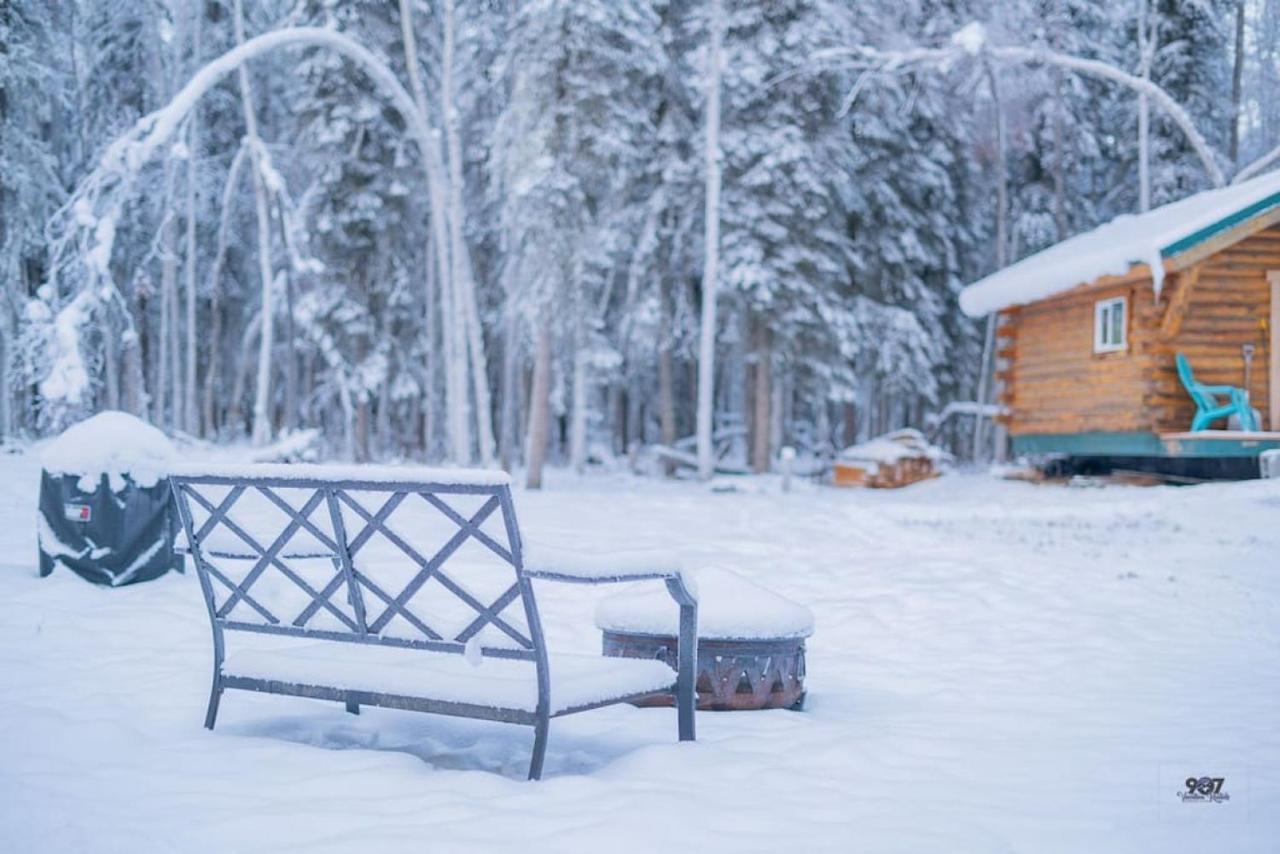 Studio Log Dry Cabin| Aurora Views! Fairbanks Kültér fotó